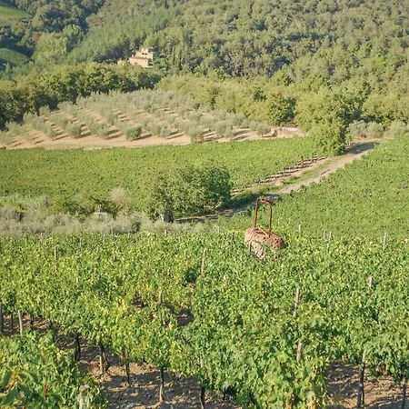 Mimosa Castellina in Chianti